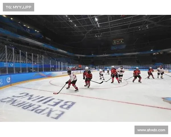 哈尔滨冰球巅峰之战冰城冬日激情碰撞顶级竞技展现冰球魅力